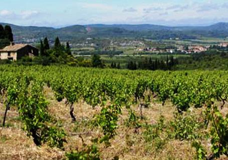  visiter l'abbaye de fontfroide en pays cathare